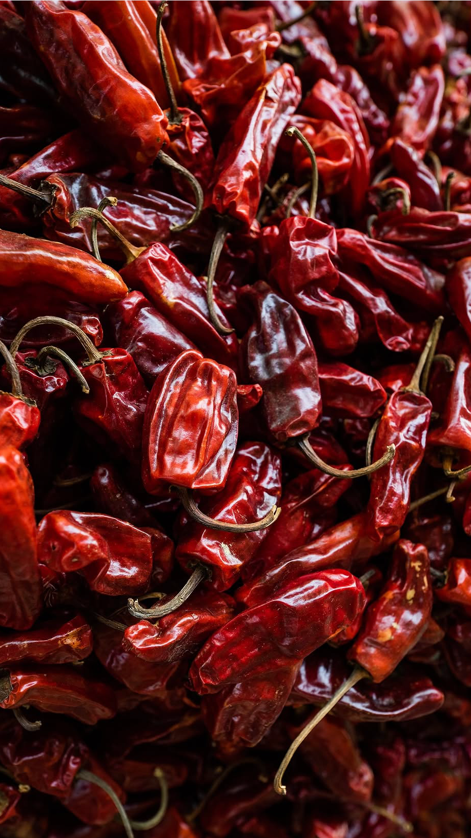 Chile de Onza Oaxaca (30gr dried)