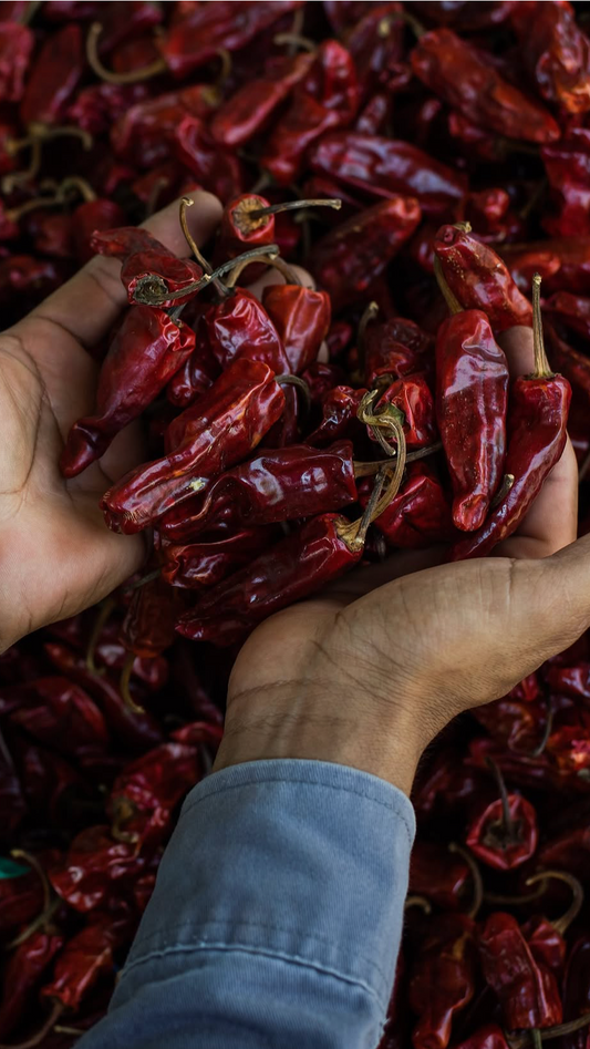 Chile de Onza Oaxaca (30gr dried)