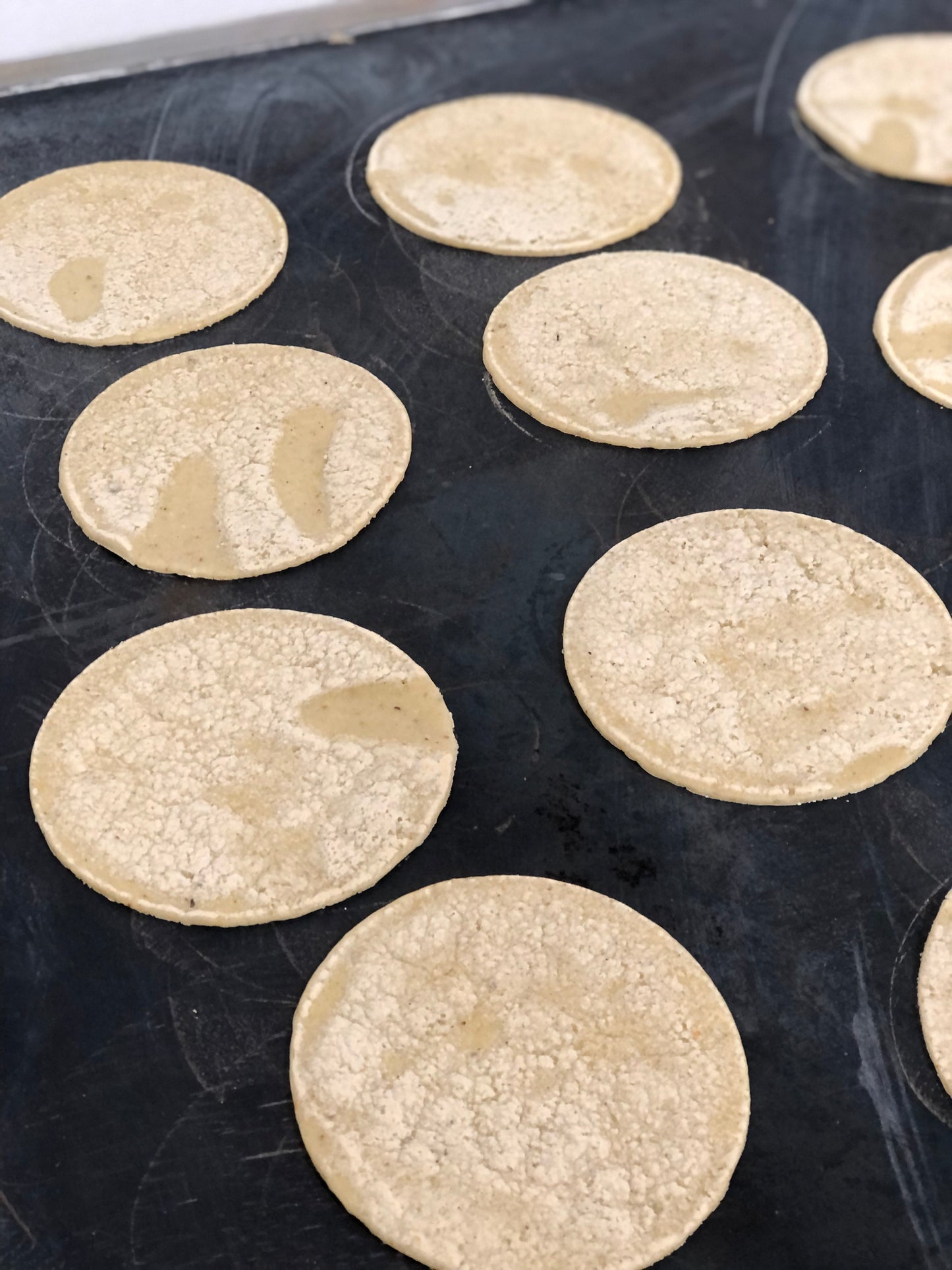 Fresh Mexican white corn tortillas